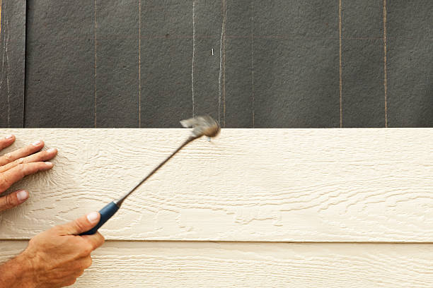 Best Vinyl Siding Installation  in St John, IN