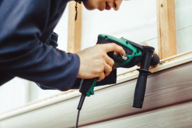 Best Custom Trim and Detailing for Siding  in St John, IN